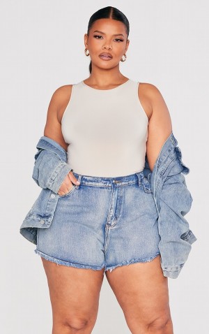 Wash Pretty Little Thing Plus Vintage High Waisted Shorts | RIQMXHF-81